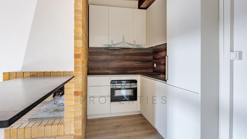 EAUX-VIVES - APPARTEMENT ENTIÈREMENT RÉNOVÉ (3)