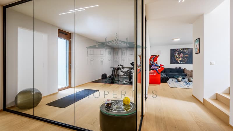 CORSIER ? VILLA CONTEMPORAINE D'EXCEPTION (5)
