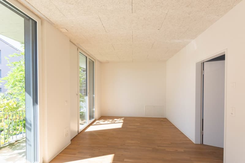 Moderne Gewerbefläche im Galfenfeld (5)