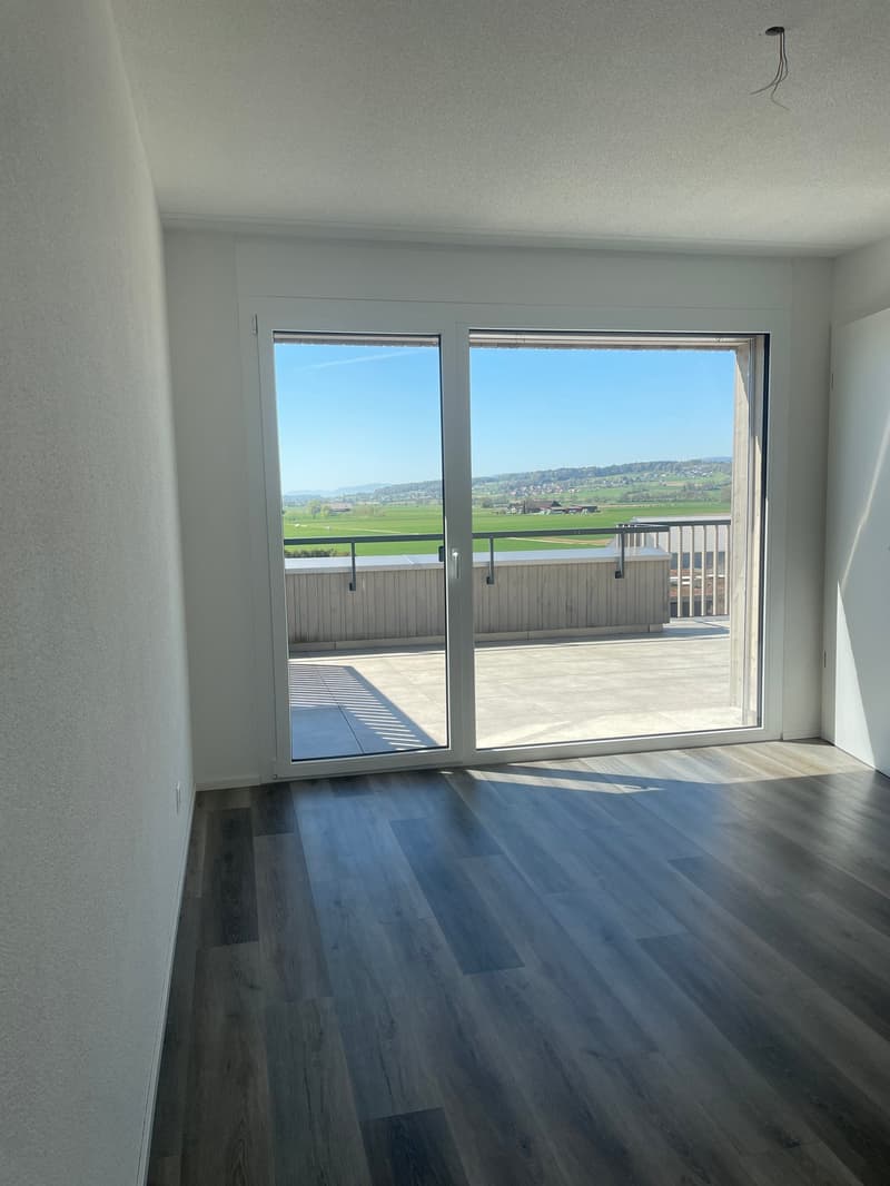 Alterwohnung mit Sicht ins Grüne - grosse Terrasse (5)