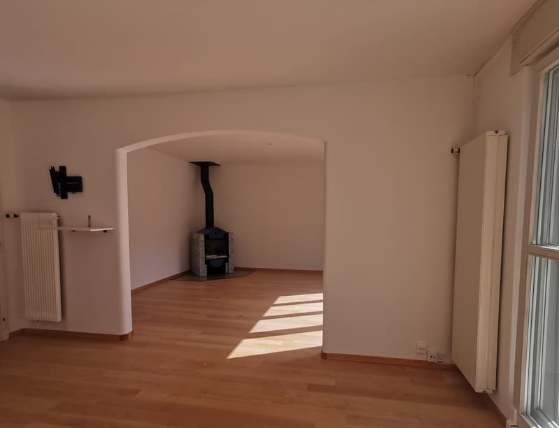 Elfenau-Reiheneinfamilienhaus an privilegierter Lage (5)