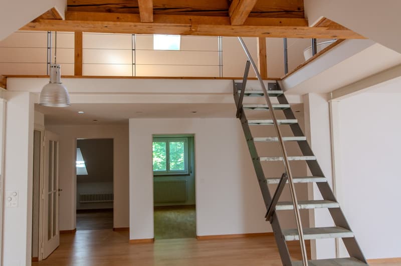 Charmantes Reiheneinfamilienhaus mit Gartenidylle in der Elfenau (6)