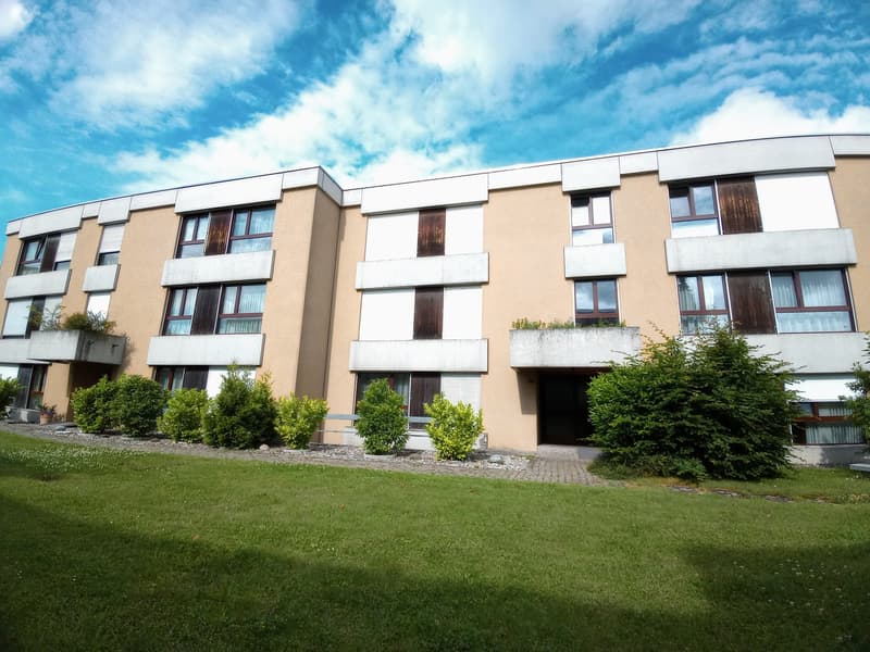 Moderne Erdgeschosswohnung mit grosser Terrasse (1)