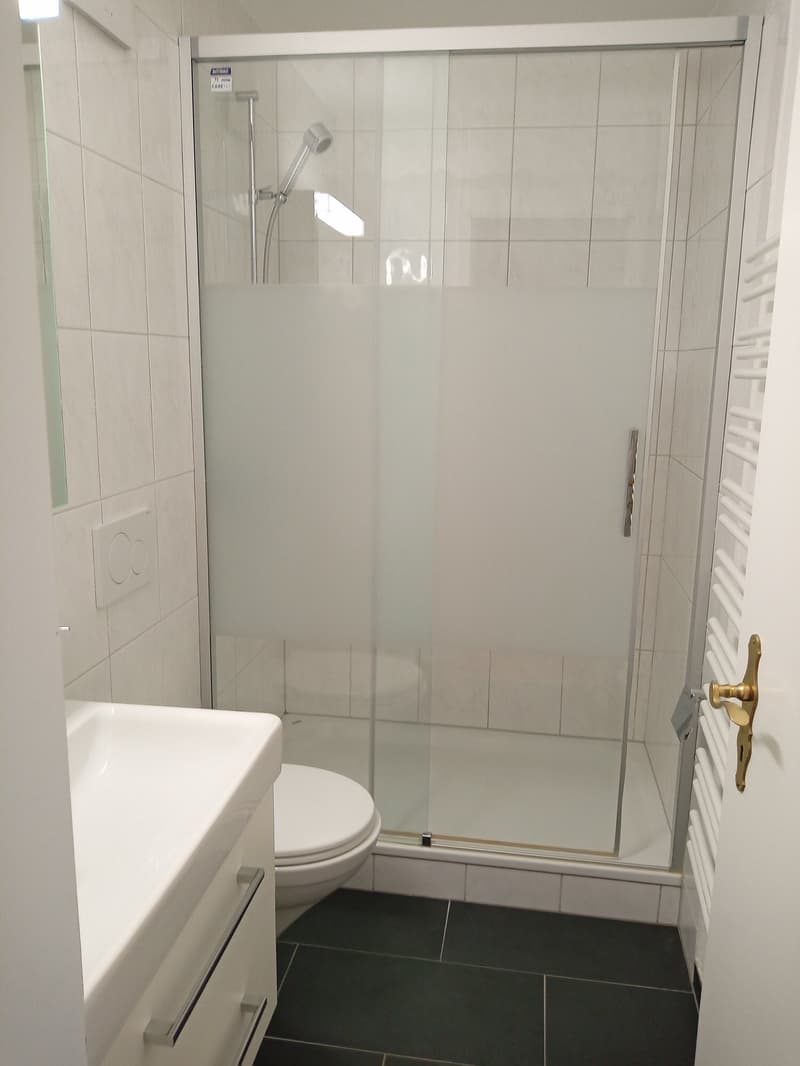 Moderne Erdgeschosswohnung mit grosser Terrasse (6)