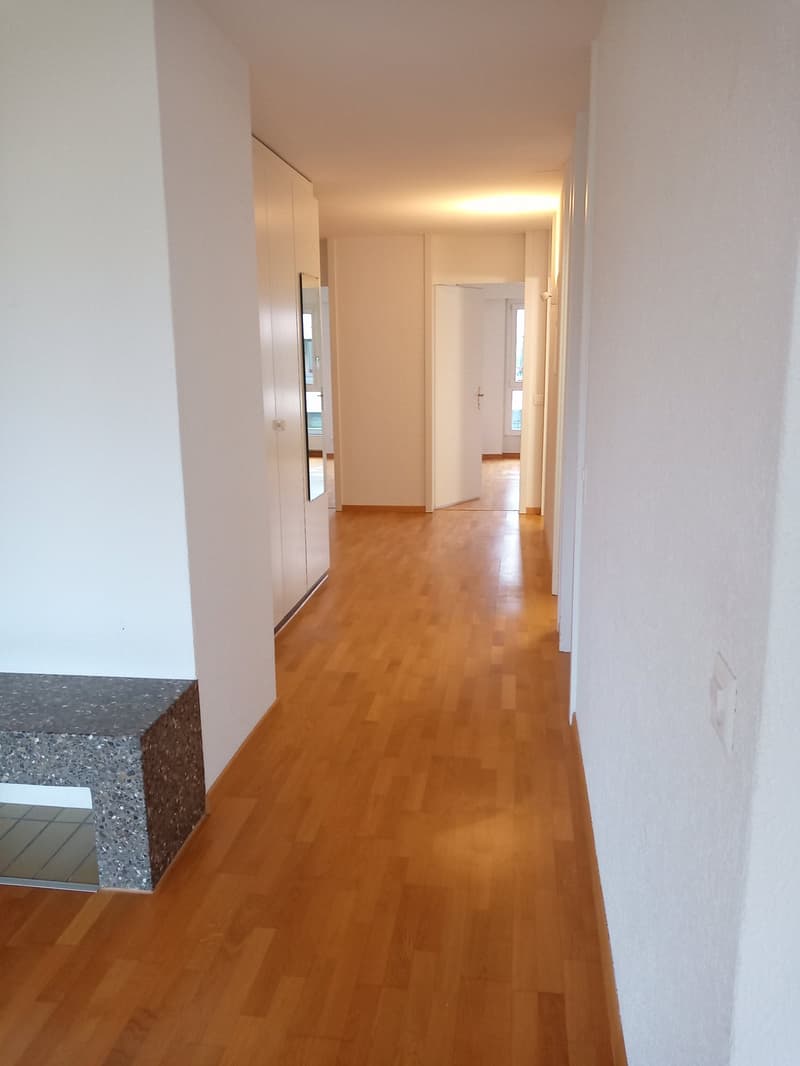 Moderne Erdgeschosswohnung mit grosser Terrasse (4)