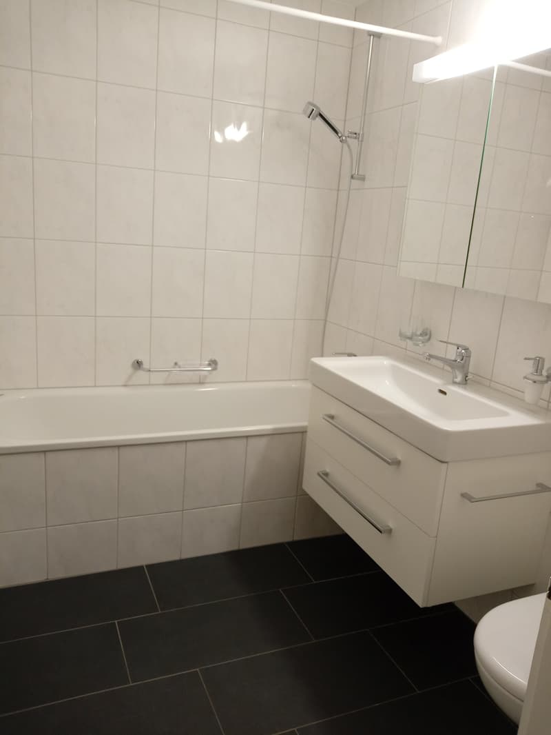 Moderne Erdgeschosswohnung mit grosser Terrasse (5)
