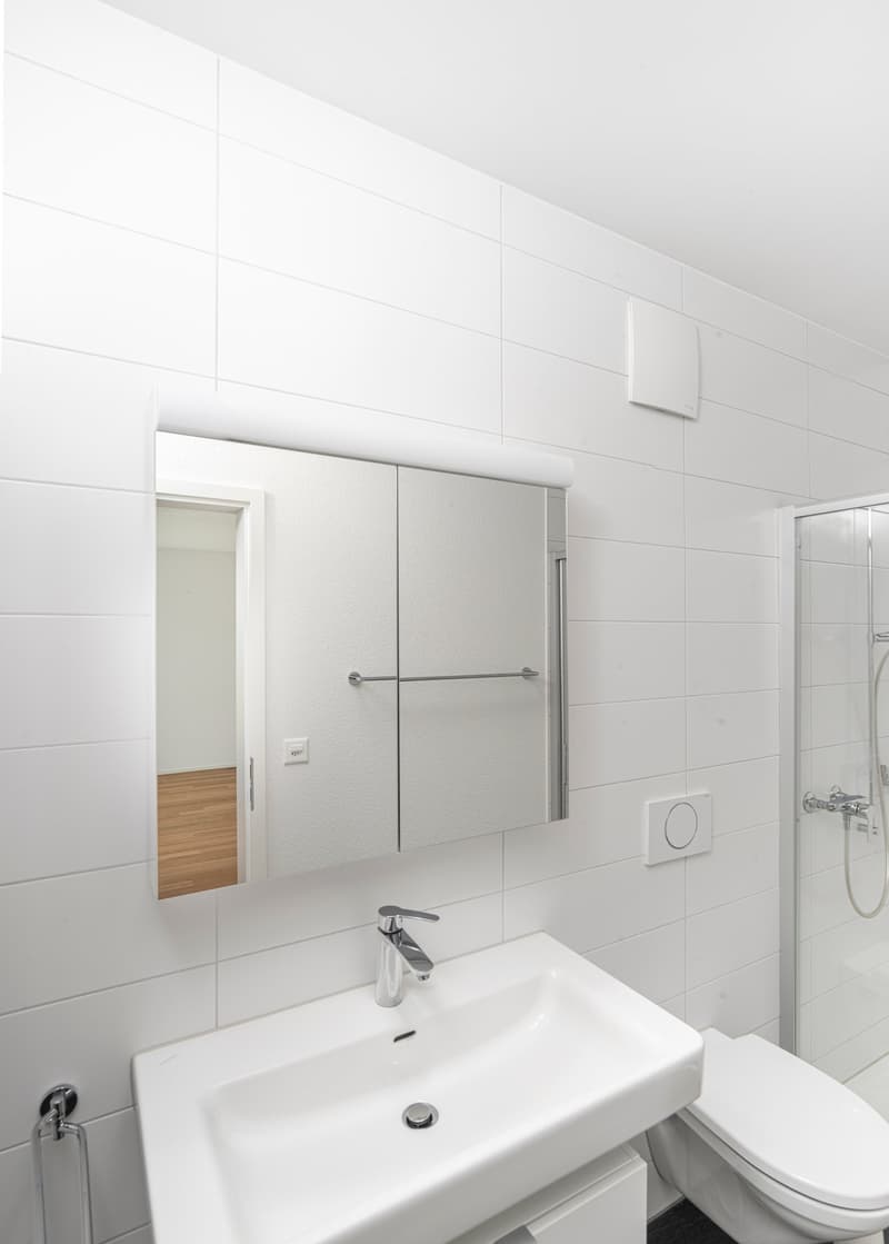 Wunderschöne Attika-Wohnung! (7)