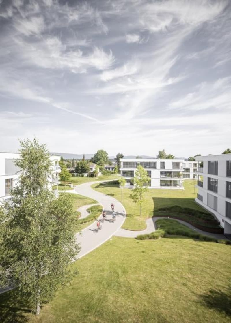 Wunderschöne Attika-Wohnung! (2)