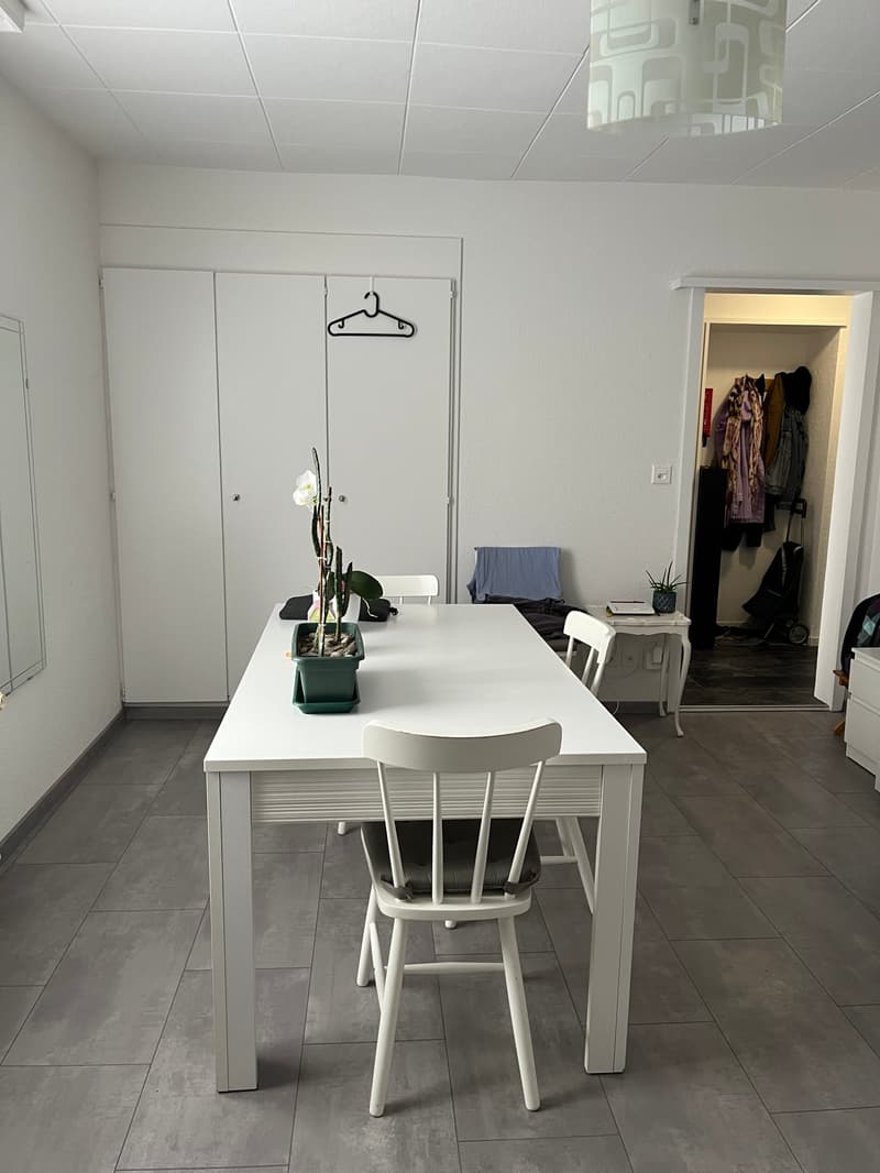 Helle Wohnung an zentraler Lage in Bern (5)