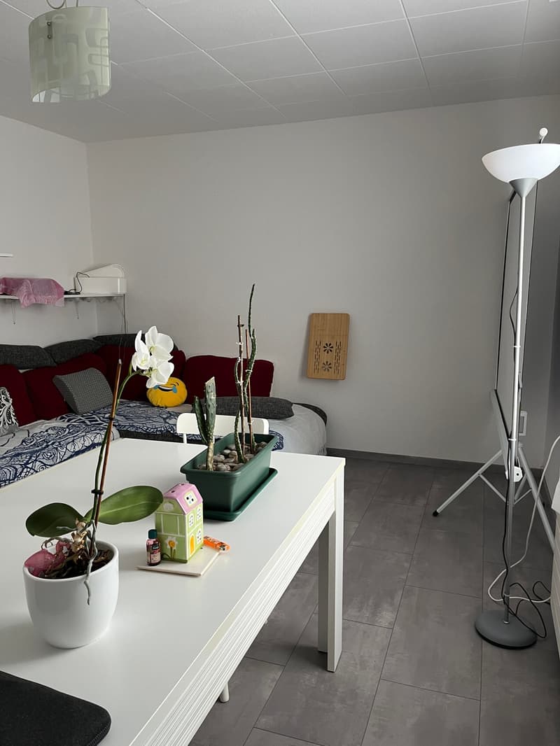 Helle Wohnung an zentraler Lage in Bern (6)