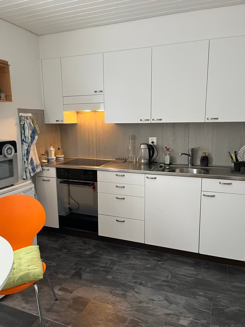 Helle Wohnung an zentraler Lage in Bern (1)