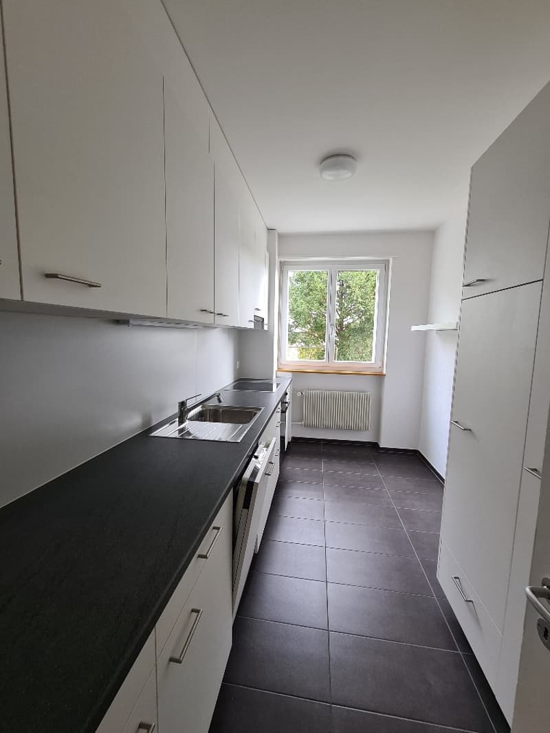Wohntraum in Bern: Helle Wohnung im beliebten Schosshaldenquartier (2)