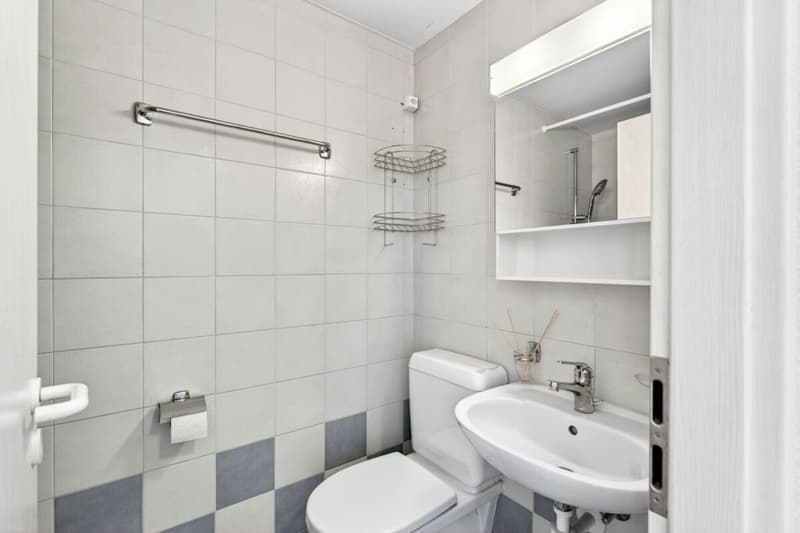 Charmant appartement de 3.5 pièces en attique (12)