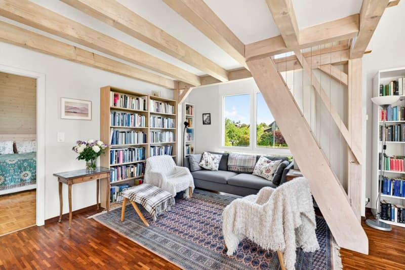 Charmant appartement de 3.5 pièces en attique (3)