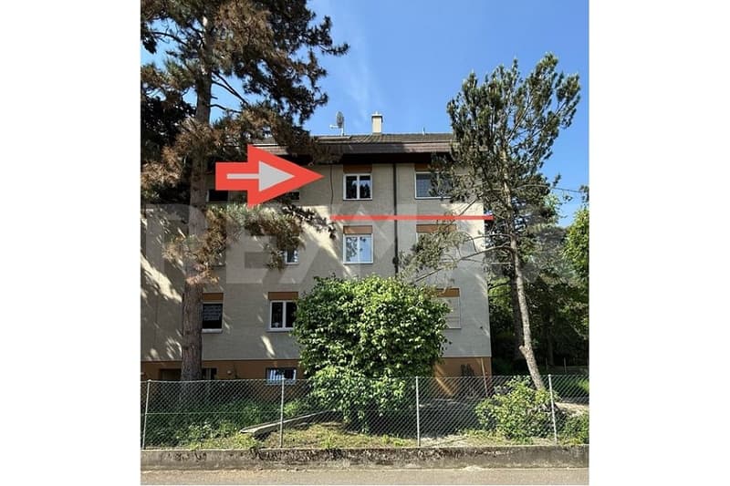 !!Preisanpassung!!  Ihr Traumzuhause an zentraler und  ruhiger Lage in Allschwil (2)