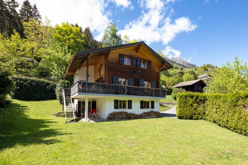 Chalet chaleureux de 5 pièces avec garage intégré et grand jardin (1)