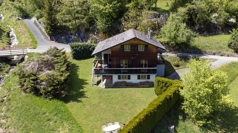 Chalet chaleureux de 5 pièces avec garage intégré et grand jardin (33)