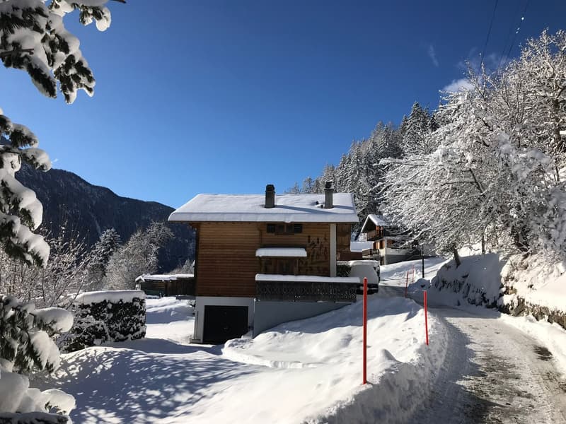 Chalet chaleureux de 5 pièces avec garage intégré et grand jardin (5)
