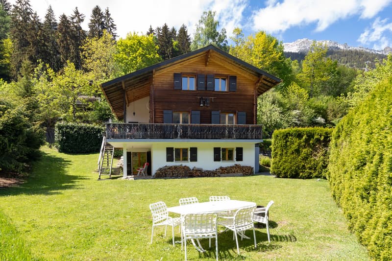 Chalet chaleureux de 5 pièces avec garage intégré et grand jardin (3)