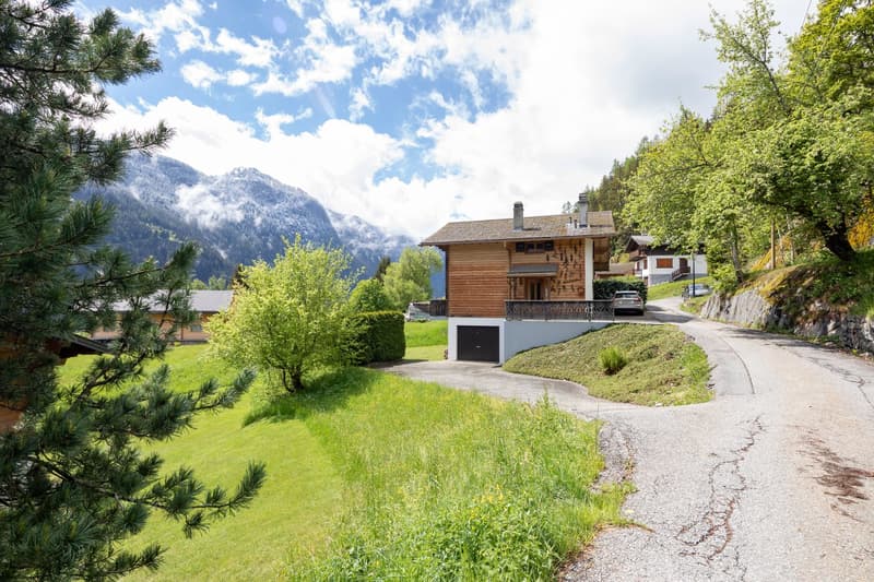 Chalet chaleureux de 5 pièces avec garage intégré et grand jardin (4)