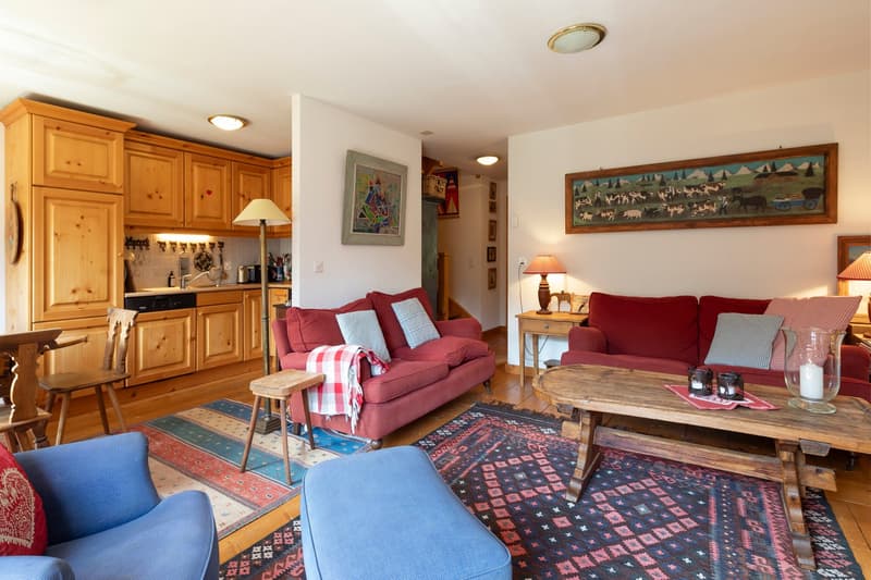 Duplex 5 pièces  dans un endroit très calme et offrant une vue magnifique sur les montagnes. (10)