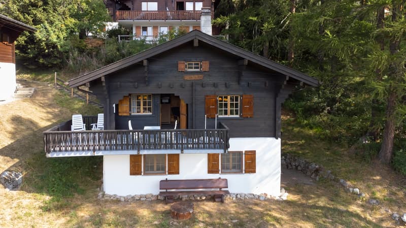 Chalet ski-in-ski-out mit zwei Privatparkplätze (2)