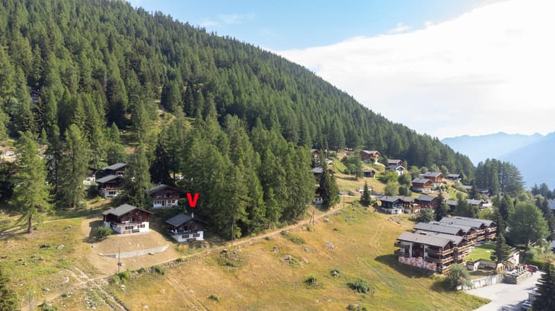 Chalet ski-in-ski-out mit zwei Privatparkplätze (6)