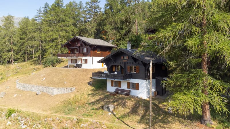 Chalet ski-in-ski-out mit zwei Privatparkplätze (3)