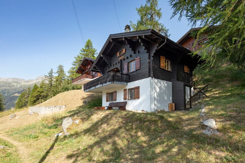 Chalet ski-in-ski-out mit zwei Privatparkplätze (4)