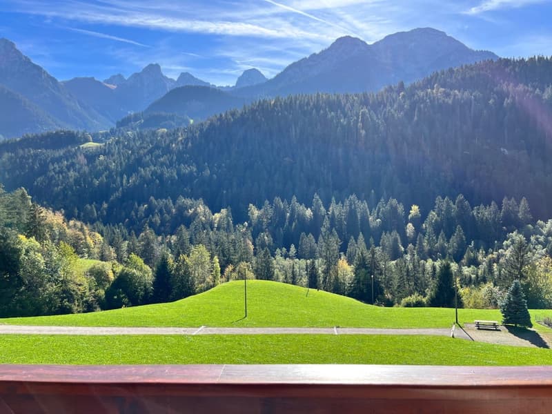 Duplex 5 pièces dans un endroit très calme et offrant une vue magnifique sur les montagnes. (3)
