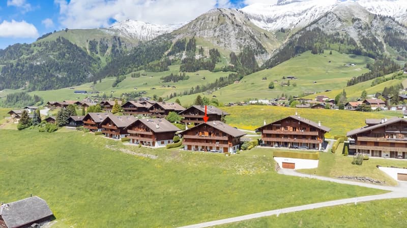 Duplex 5 pièces dans un endroit très calme et offrant une vue magnifique sur les montagnes. (1)