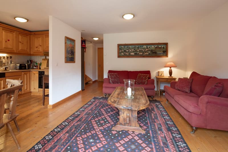 Duplex 5 pièces dans un endroit très calme et offrant une vue magnifique sur les montagnes. (8)