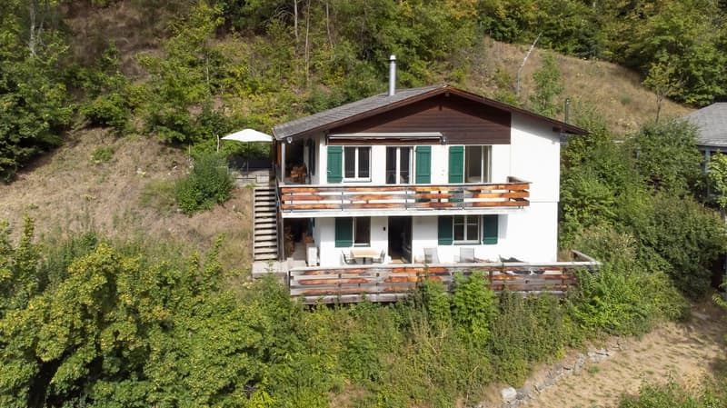 Renoviertes und bezugsfertiges Chalet mit Sauna und der Option zum Kauf einer eigenen Privatgarage (3)