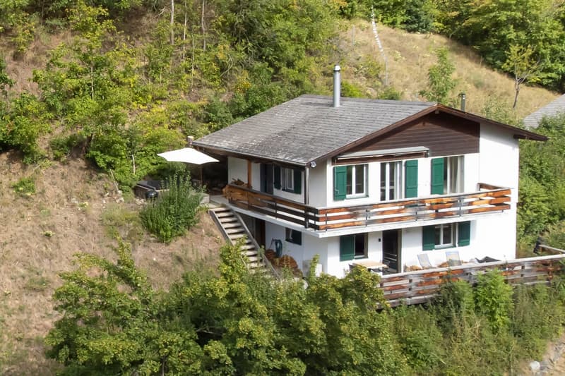Renoviertes und bezugsfertiges Chalet mit Sauna und der Option zum Kauf einer eigenen Privatgarage (1)