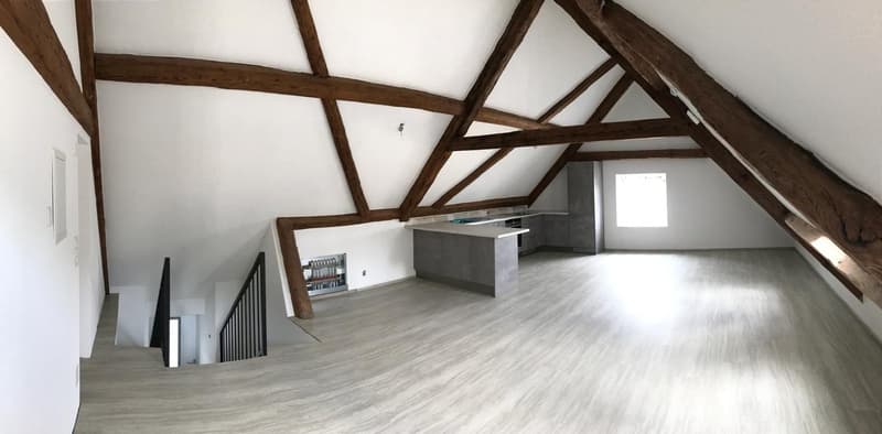 Charmant appartement de 2,5 pièces à Courgenay (3)