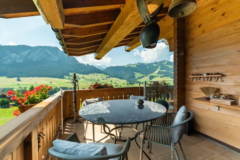 An exceptional duplex in the heart of the mountains. (12)