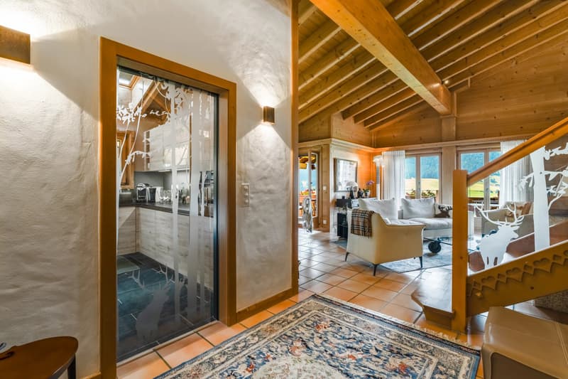 An exceptional duplex in the heart of the mountains. (11)