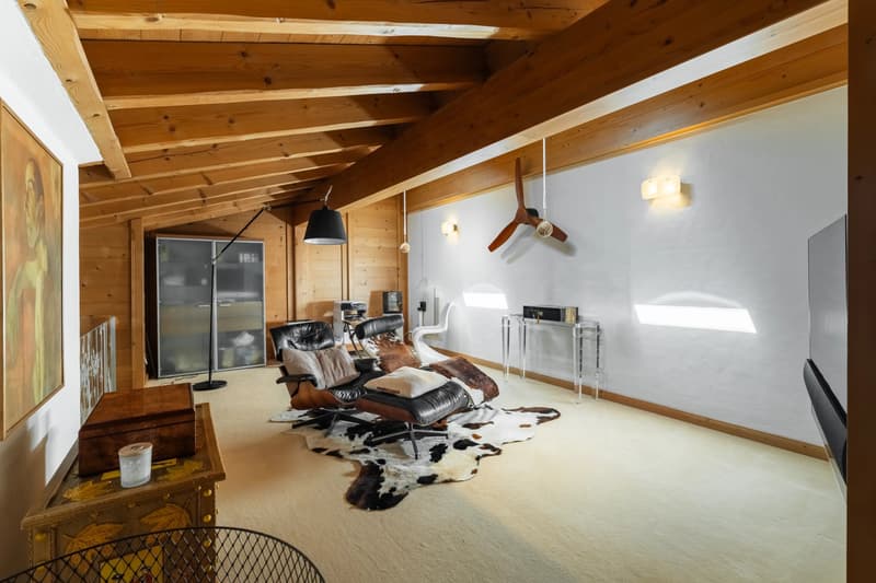 An exceptional duplex in the heart of the mountains. (7)