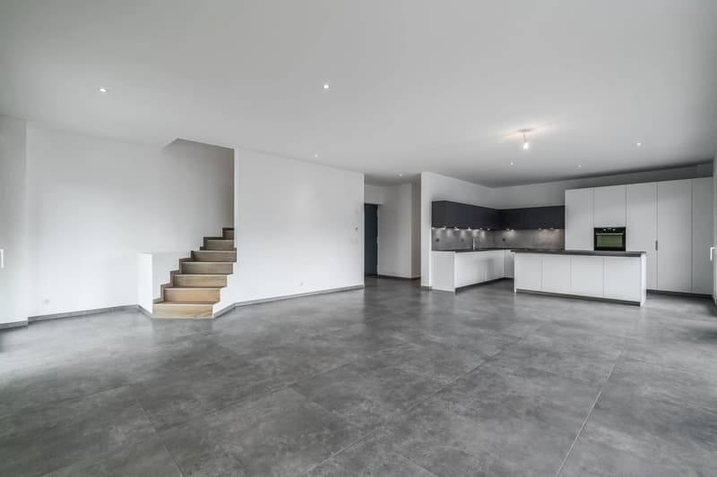 Brand-New Contemporary Villa in Crans-Montana (3)