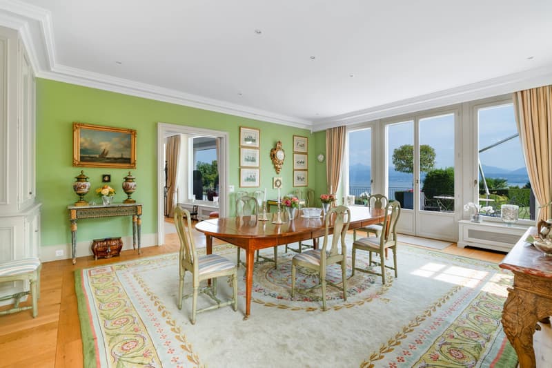 A Mansion on the Shores of Lake Geneva ? Prestige, Space, and Light (8)