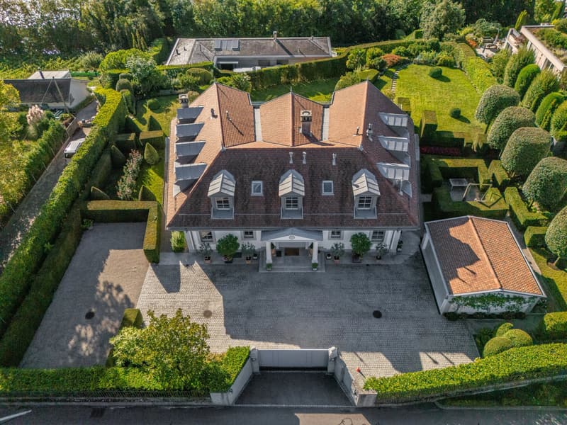 A Mansion on the Shores of Lake Geneva ? Prestige, Space, and Light (3)