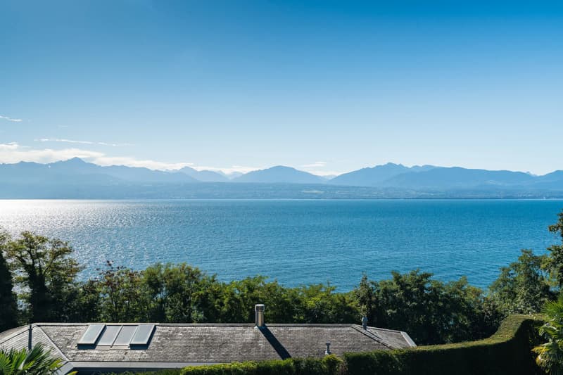 A Mansion on the Shores of Lake Geneva ? Prestige, Space, and Light (4)