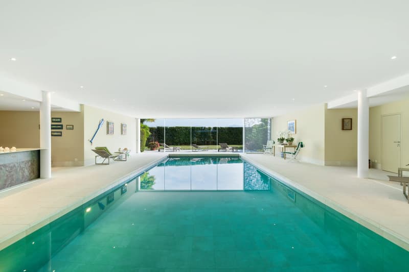 A Mansion on the Shores of Lake Geneva ? Prestige, Space, and Light (13)
