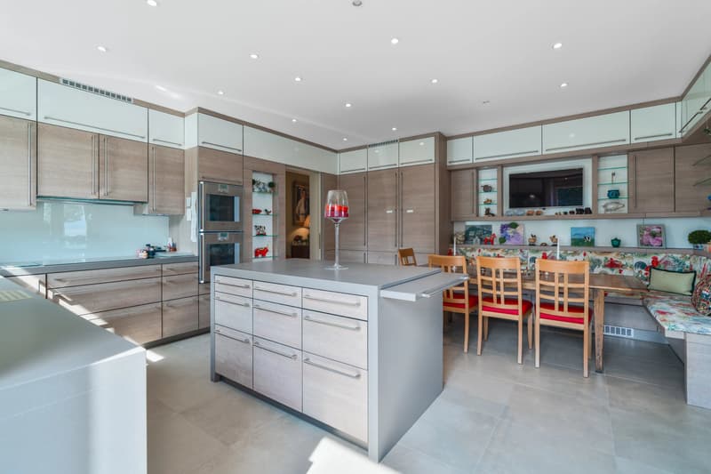 A Mansion on the Shores of Lake Geneva ? Prestige, Space, and Light (9)