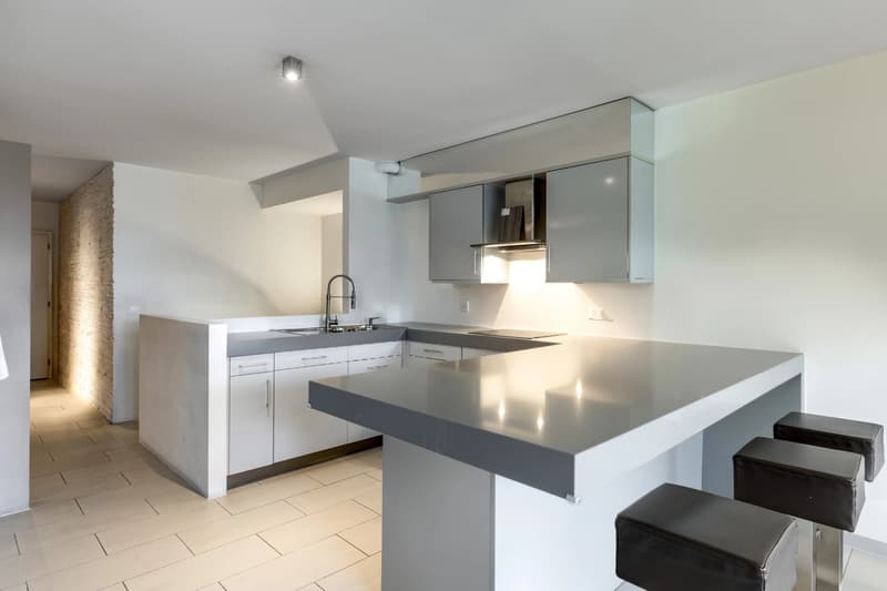 Appartement en duplex avec terrasse et jardin à Pully Sud (5)