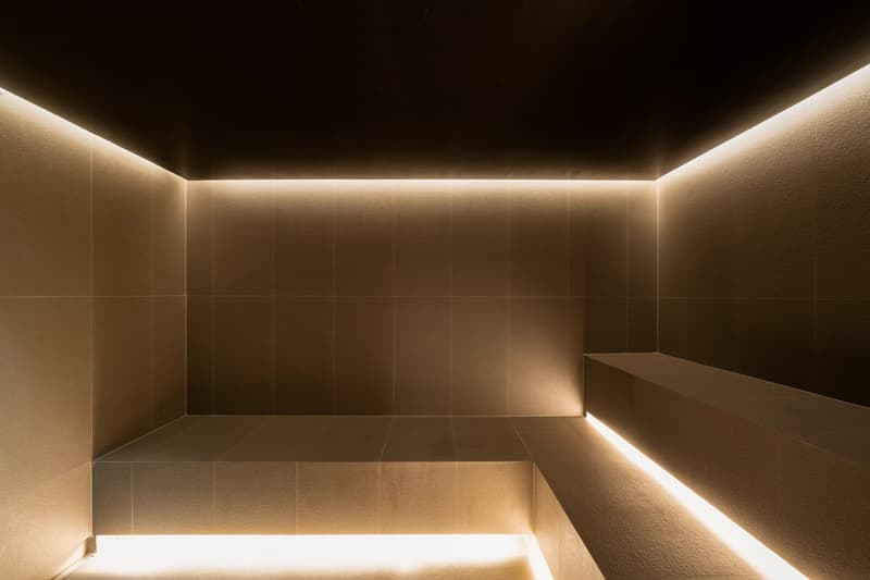 Residence of prestige located in the heart of Vandoeuvres (13)