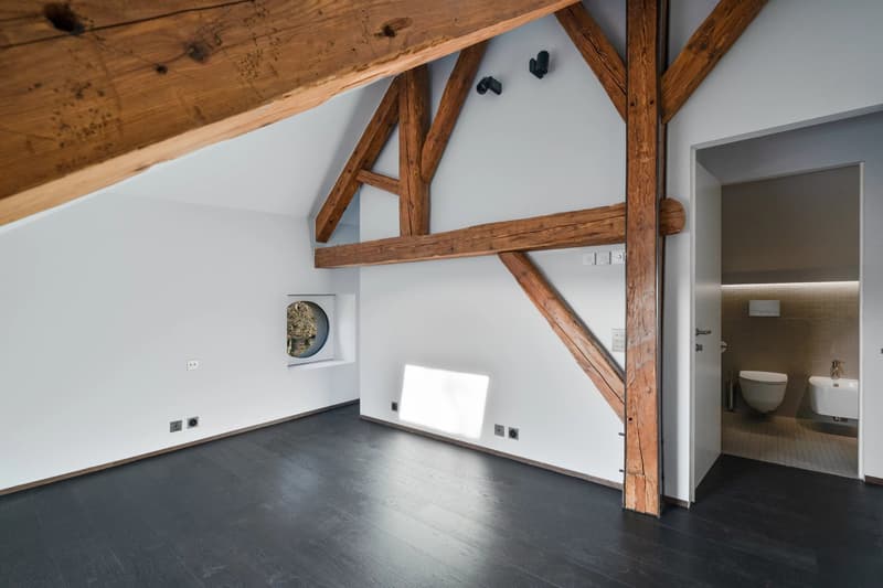 Residence of prestige located in the heart of Vandoeuvres (12)