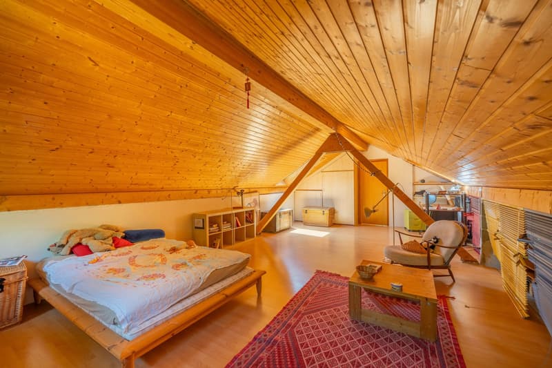 Singular architecture and panoramic views of Lake Geneva. (8)