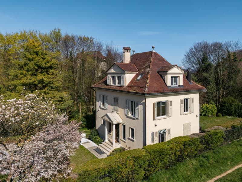 An exceptional residence close the lake (2)