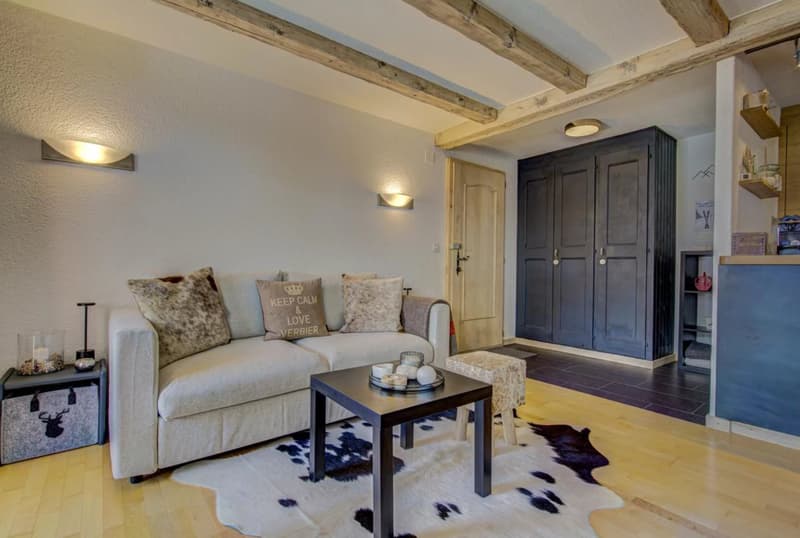 Beautiful renovated 2.5 room apartment with immediate access to the slopes of Verbier (3)